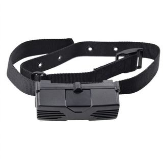 Collar HatoBit: caja negra sellada con correa de nailon y hebilla
